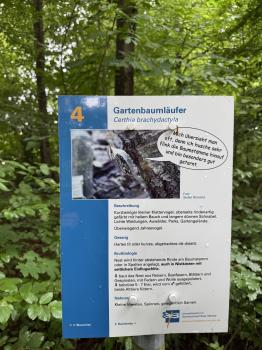 Stadtpark Möglingshöhe (Villingen-Schwenningen)